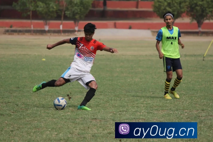 九游体育手机官网入口发展历程